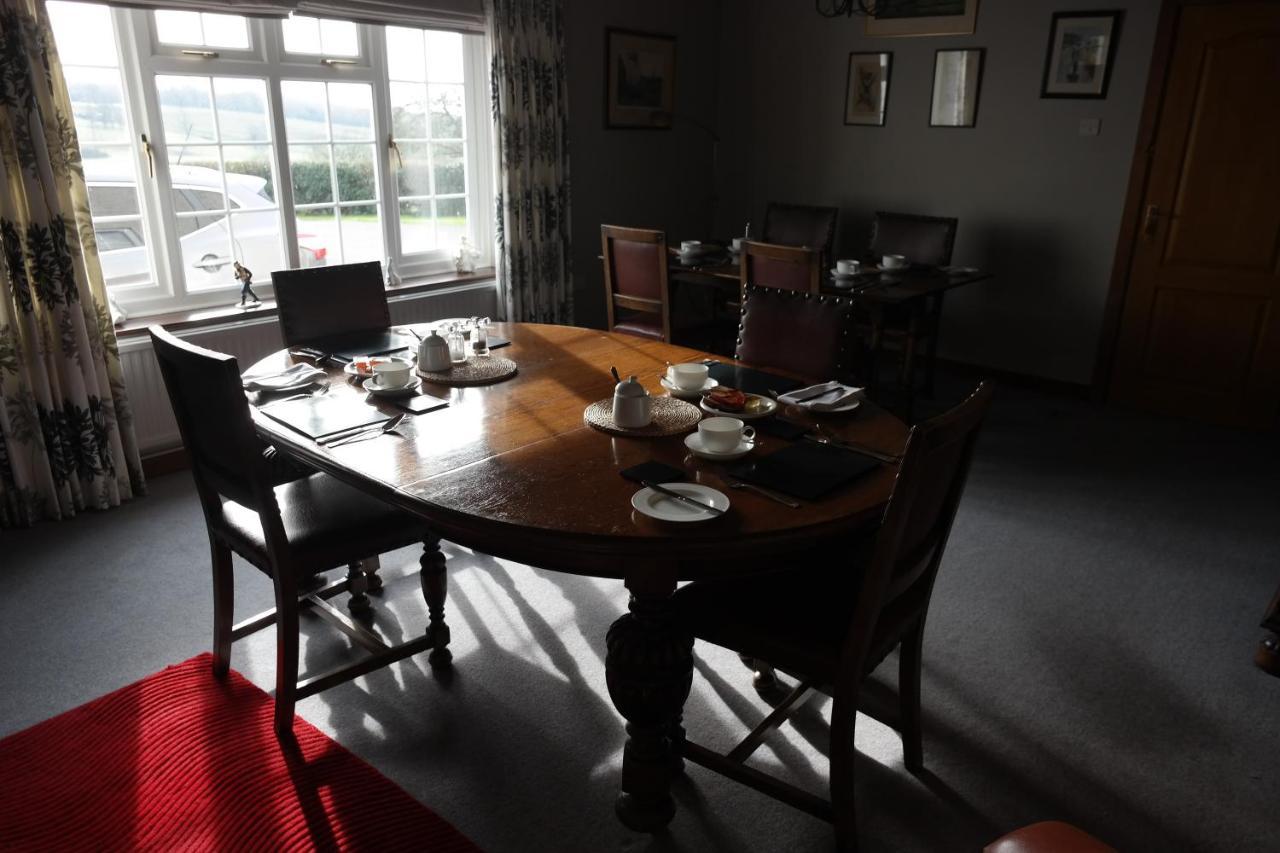 Hazel Court Guest House Newport  Zewnętrze zdjęcie
